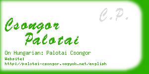 csongor palotai business card